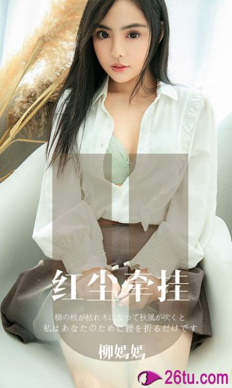 功夫梦2